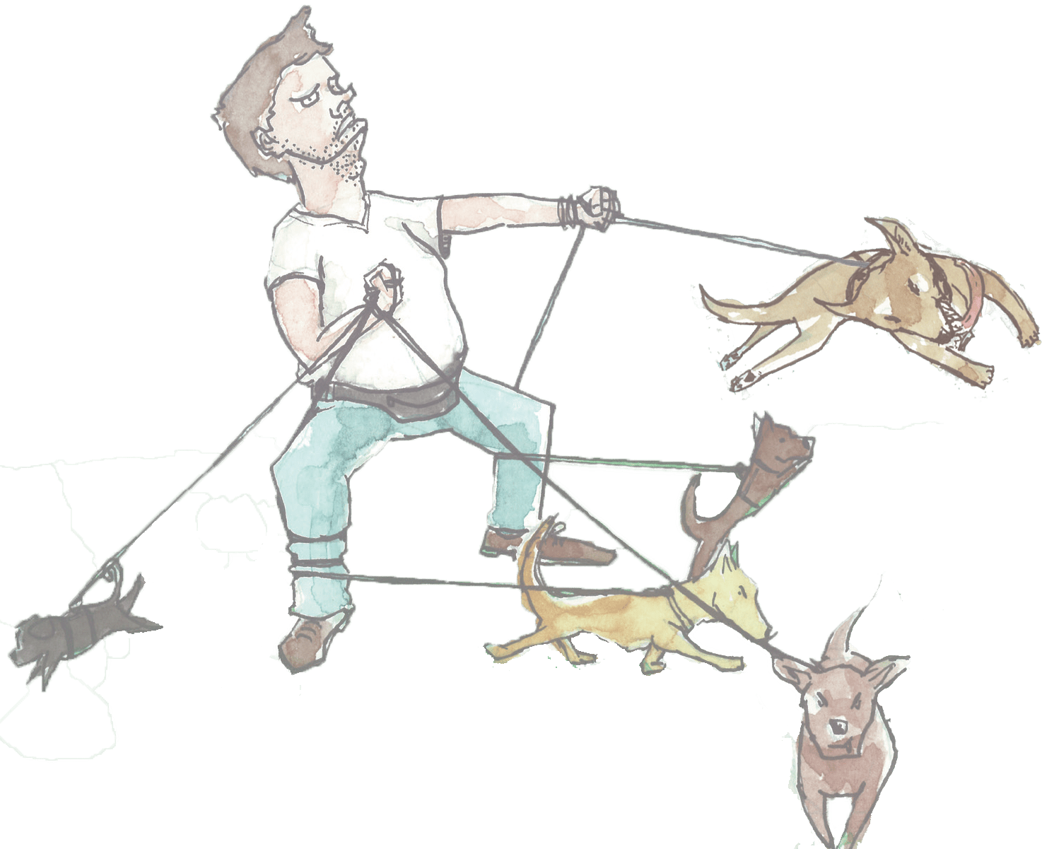 Dein Hund bellt andere Hunde an? Dein Hund bellt andere Menschen an? Mann mit vielen Hunden