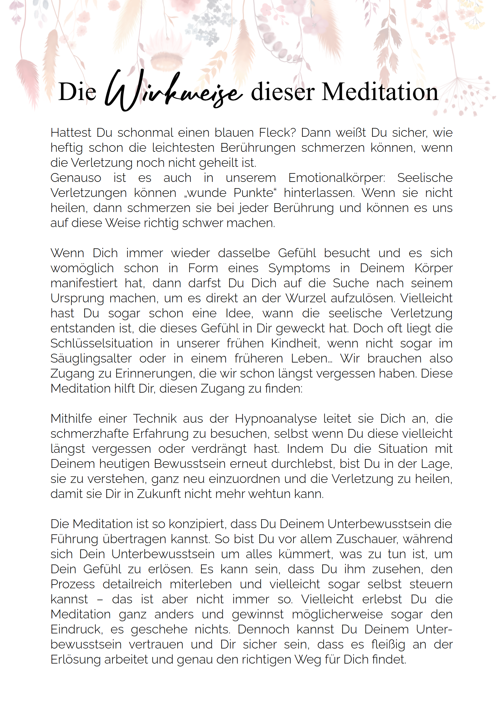 Begleitheft-erloese-dein-gefuehl5